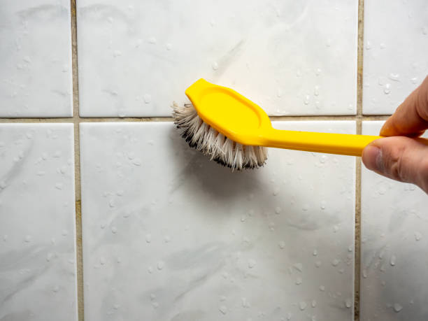 Heritage Pines, FL Mold Removal Company