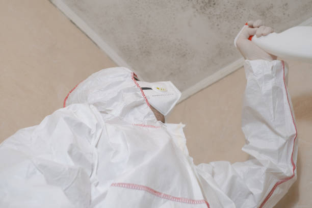 Best Mold Removal Near Me  in Heritage Pines, FL